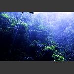 水帘洞