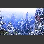 雪景