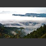 碧桂园4