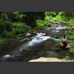 秀水生烟