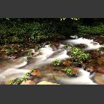 金鞭溪水  1