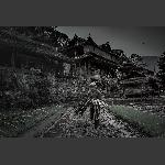 村里的那些事