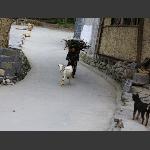 回家