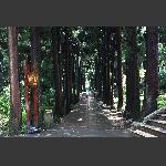 黄石赛上石扳路