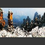 雪
