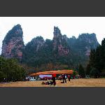 龙舞金鞭