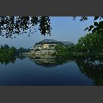 柳岸印象