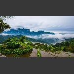 烟幕春雨