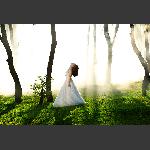 梦幻