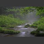 烟雨金鞭溪