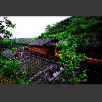 农家乐