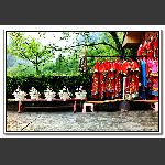 等你来
