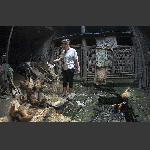 禽世界--9