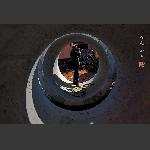 无孔不入