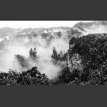 雾漫天子山