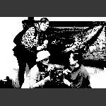白与黑