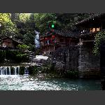 乡村即景