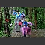 春雨金鞭溪
