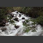 高原溪流