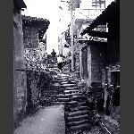 乡村小路
