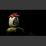 酒韵