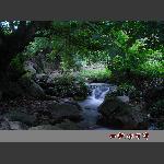 张家湾2