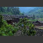 土 家 寨