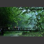 烟雨金鞭溪