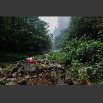 烟雨金鞭溪