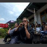 吹木叶