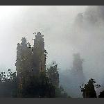 奇山