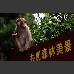 呐喊