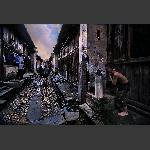 黄昏画意浓
