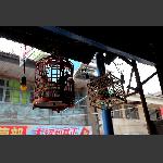 鸟笼