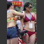 美女骑士