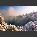 瑞雪迎春4
