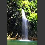 飞瀑