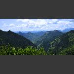 野  山