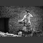 日子--7