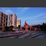 我的家园3