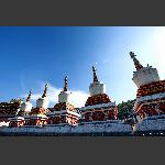塔尔寺