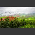 祈连风光