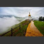 卓尔山顶