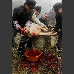 杀的高兴！