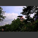 无限风光在险峰