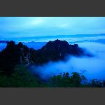 雾茫茫