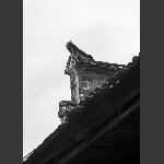 岁月