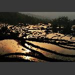 云南龙树坝