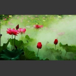 雾里看花