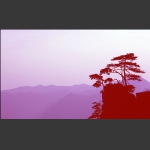 独揽晨曦3